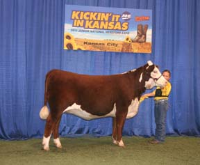 KJ 618N Timewise 336X