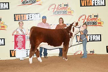 KJ BJ 364C Salsa 534G ET