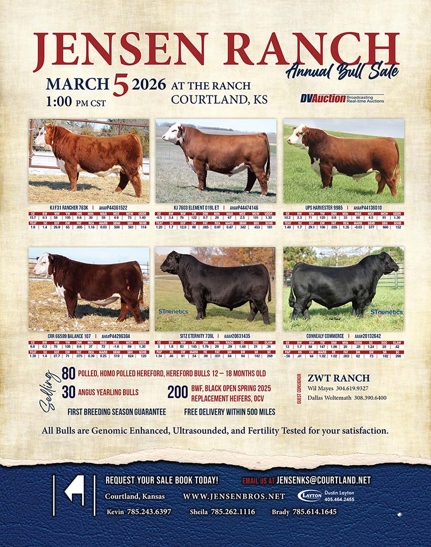 Jense Ranch Annual Bull Sale