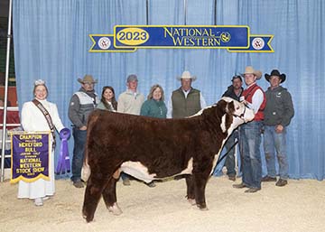 KJ 753D Tomahawk 605K ET