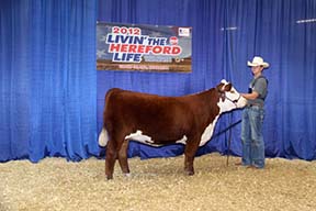 KJ DWE 968R Tori 457Y