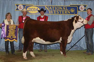 KJ DWE 968R Zsa Zsa 686R ET